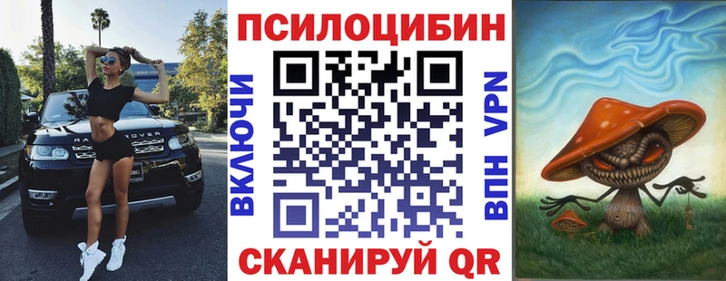 Купить  Заволжск  Псилоцибиновые грибы прущие грибы 
